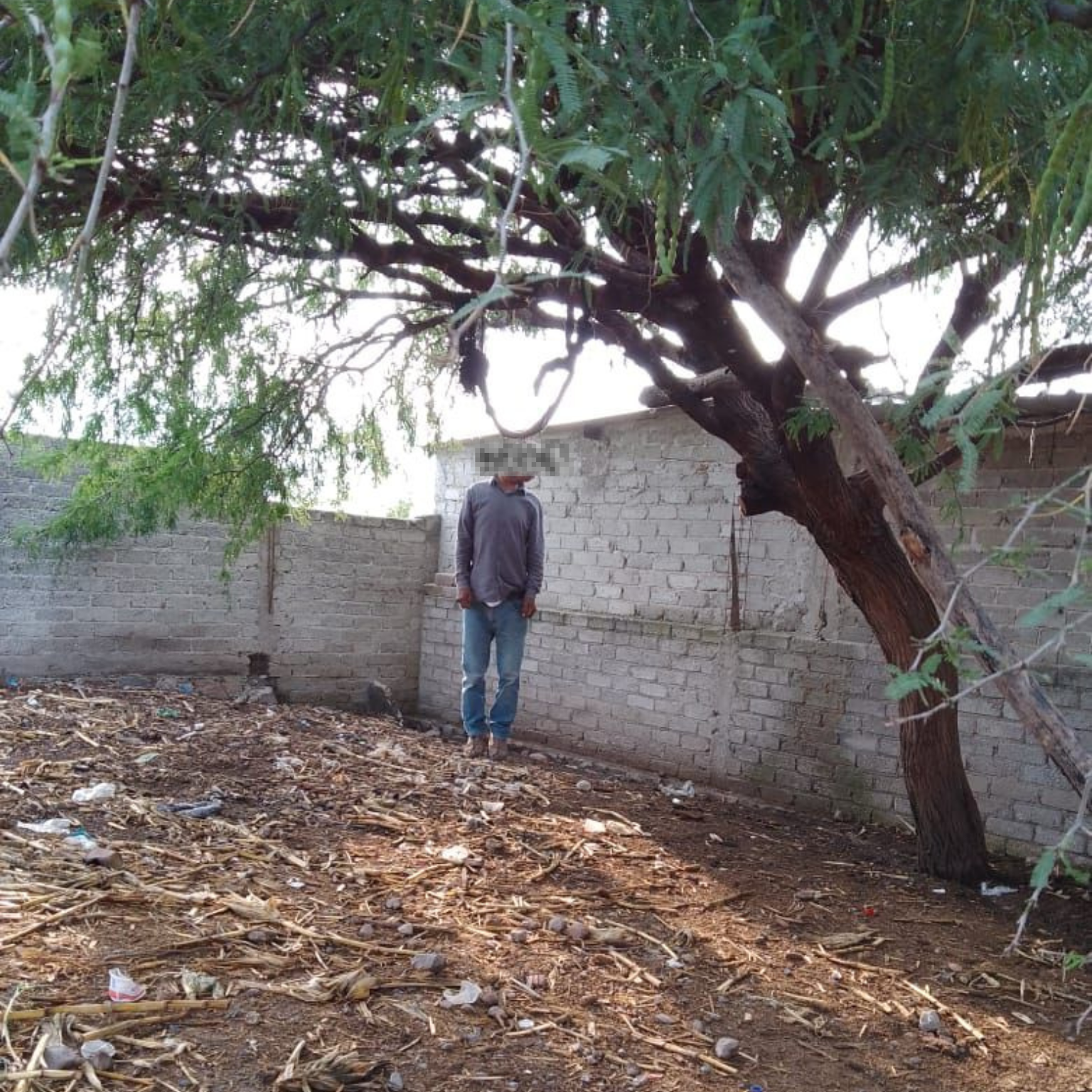 Un hombre de la tercera edad fue encontrado sin vida por aparente suicidio en la comunidad de Jalpa, ubicada en San Miguel de Allende